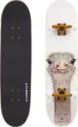Skateboard SKB 505 von FIREFLY Erwachsene
